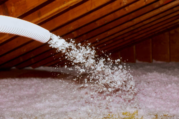 Best Types of Insulation in Chesapeake, VA