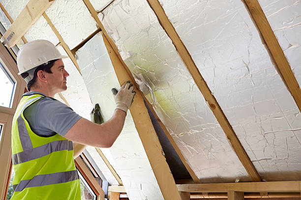 Best Insulation Maintenance and Repair in Chesapeake, VA