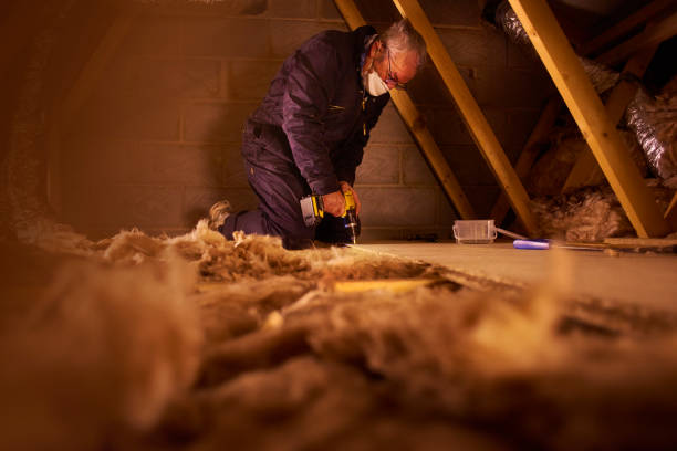 Best Residential Insulation in Chesapeake, VA