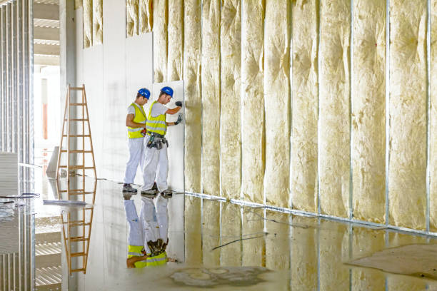 Best Types of Insulation in Chesapeake, VA